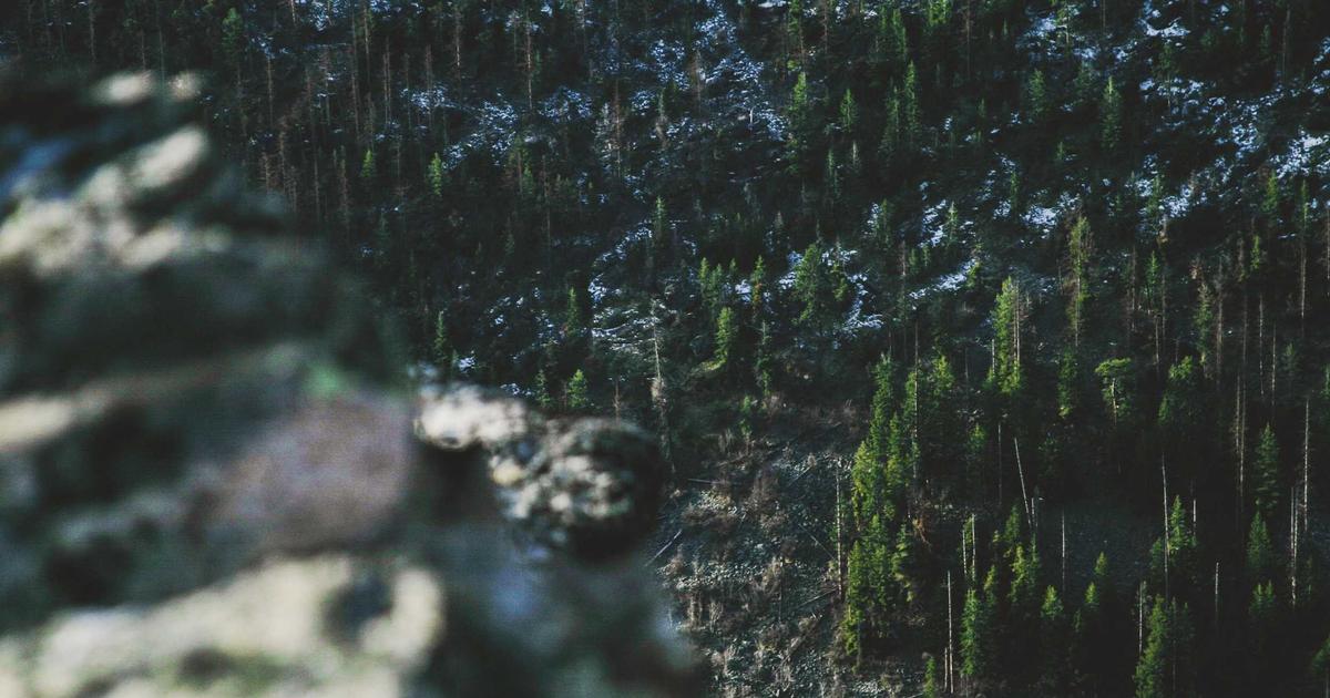 Beyond Basic AI: Creating Real Value in the Age of Artificial Intelligence