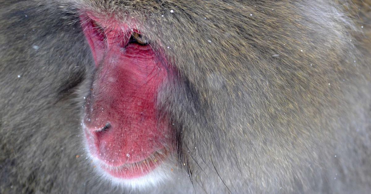 Claude Code Source Code Leak: A Deep Technical Analysis