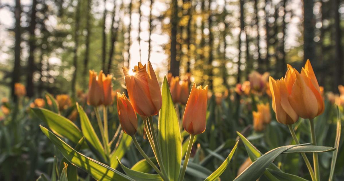 从历史中学习：改变世界的十个关键时刻